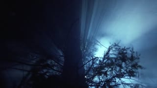 The Blob Movie Trailer 2
