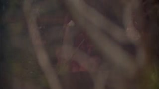 Anaconda Movie Trailer