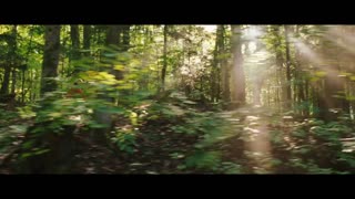 The Time Traveler's Wife Movie Trailer