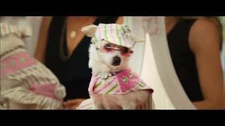 Beverly Hills Chihuahua Movie Trailer