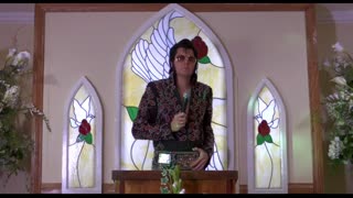 Paper Heart Movie Trailer