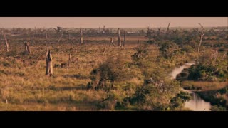 Texas Killing Fields Movie Trailer