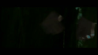 The Grandmaster Movie Trailer