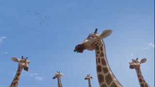 Zambezia Movie Trailer