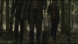 Borgman Movie Trailer