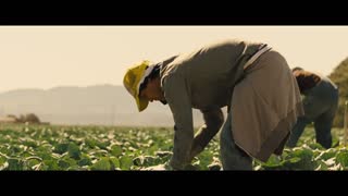 McFarland, USA Movie Trailer