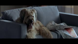 A Perfect Man Movie Trailer