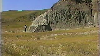 Dinosaur 13 Movie Trailer