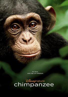 Chimpanzee 2012 movie poster