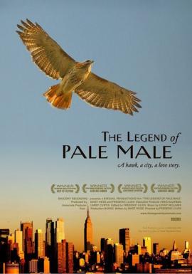 The Legend of Pale Male 2009 movie poster
