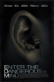 Enter the Dangerous Mind 2013 movie poster