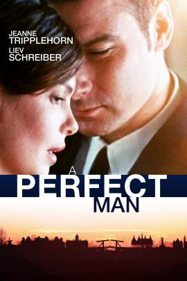 A Perfect Man 2013 movie poster