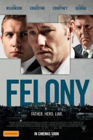 Felony 2013 movie poster