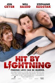 Hit by Lightning 2014 movie poster