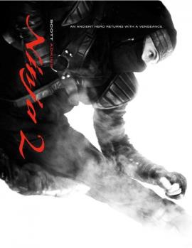 Ninja: Shadow of a Tear 2013 movie poster