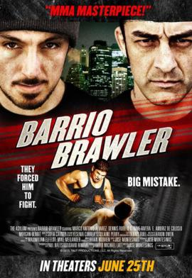 American Brawler 2013 movie poster