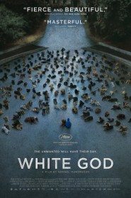 White God 2014 movie poster