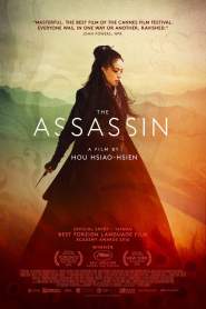 The Assassin 2015 movie poster